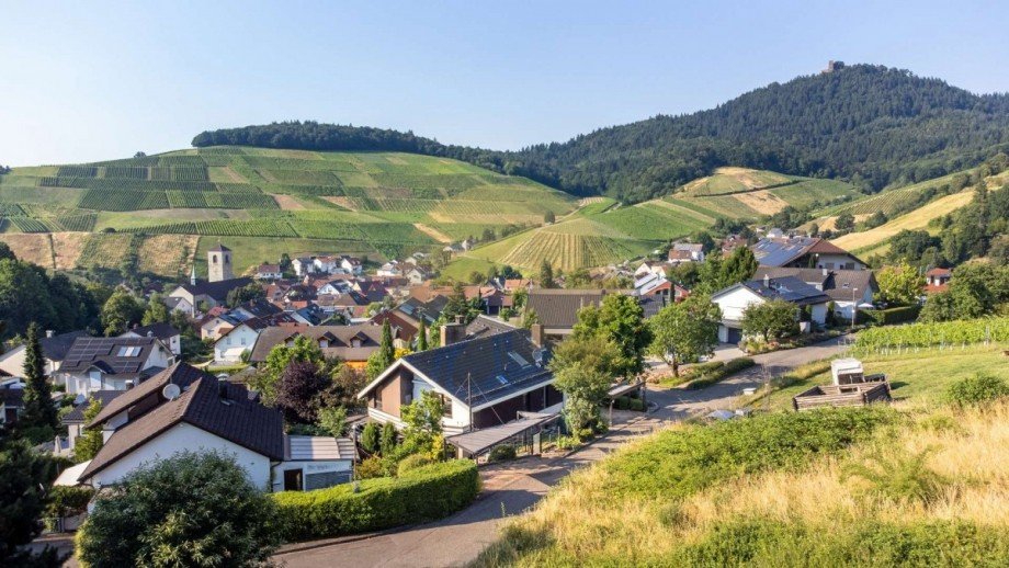 Umliegende Landschaft Einfamilienhaus Baden-Baden