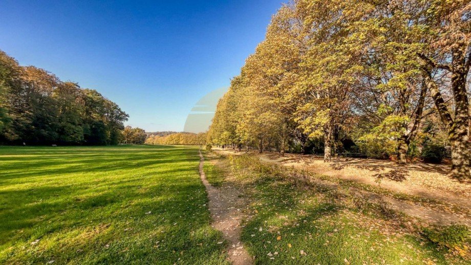 wohnung-baden-baden-lichtentaler-allee-wolf-immobilien Maisonettewohnung Baden-Baden