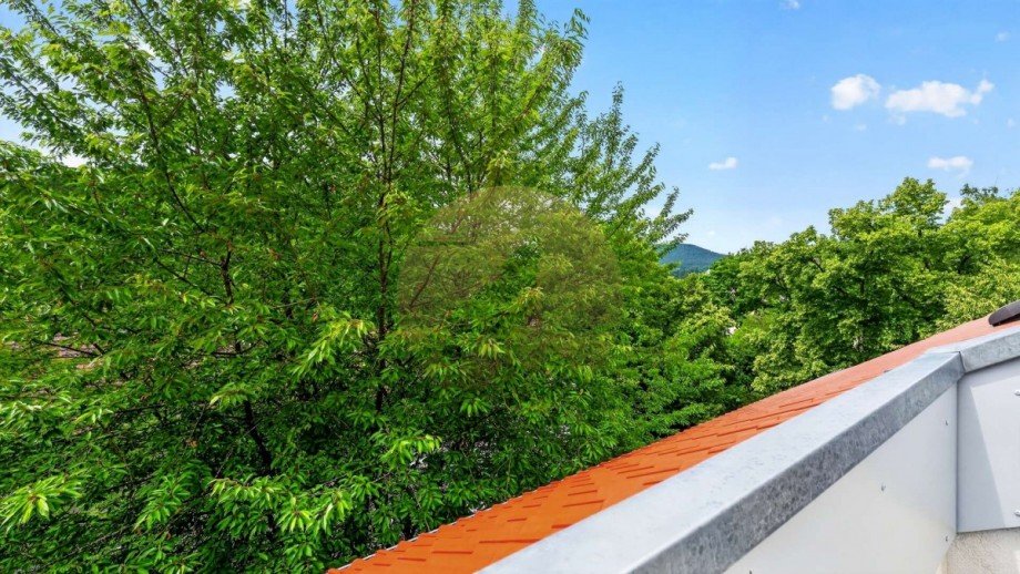 wohnung-baden-baden-terrasse-wolf-immobilien Dachgeschosswohnung Baden-Baden