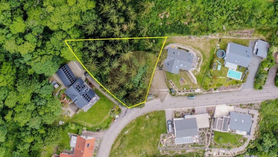 grundstueck-schwarzwald-sasbachwalden-drohnenaufnahme-wolf-immobilien Wohngrundst�ck Sasbachwalden