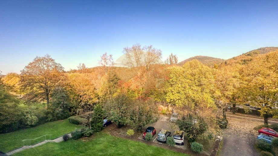 wohnung-baden-baden-aussicht-wolf-immobilien Maisonettewohnung Baden-Baden