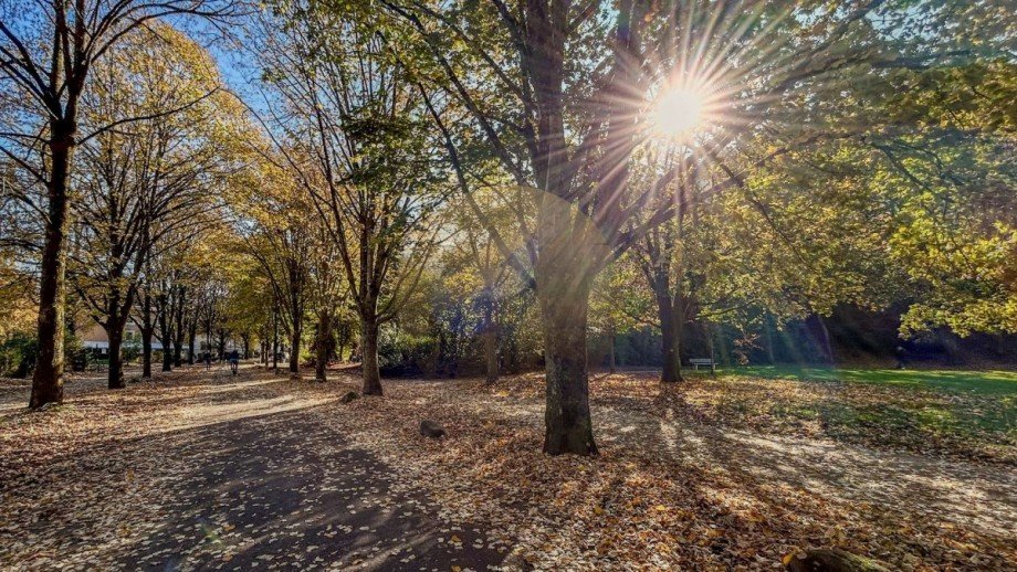 wohnung-baden-baden-lichtentaler-allee-wolf-immobilien Maisonettewohnung Baden-Baden