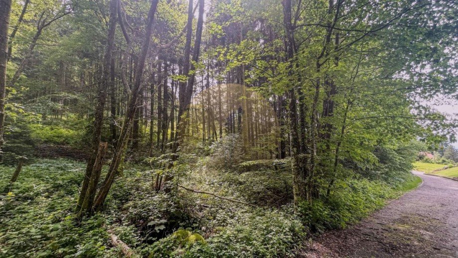 grundstueck-schwarzwald-sasbachwalden-wolf-immobilien Wohngrundst�ck Sasbachwalden