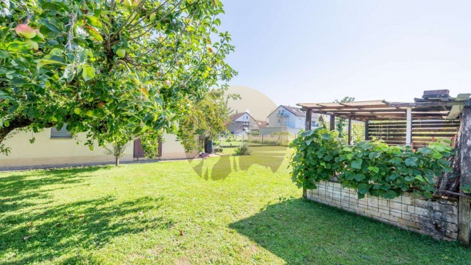 haus-baden-baden-haueneberstein-garten-wolf-immobilien Mehrfamilienhaus Baden-Baden