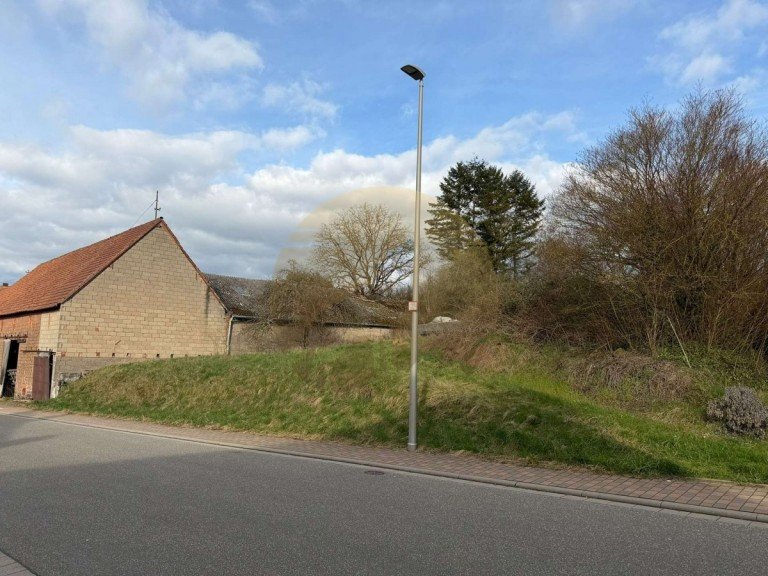 grundstueck-kleinsteinhausen-wolf-immobilien Kleinsteinhausen Wohngrundst�ck Naturnah leben, individuell bauen - Grundst�ck in Kleinsteinhausen