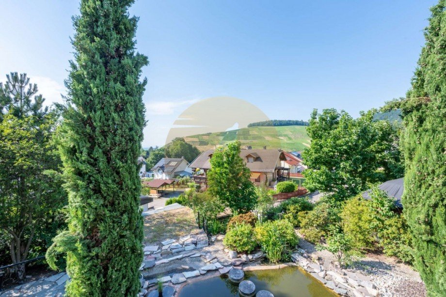 Aussicht auf die Weinberge Einfamilienhaus Baden-Baden